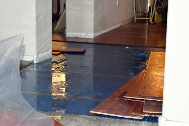 Professional Burst Pipe Cleanup technician working in Manteo, NC